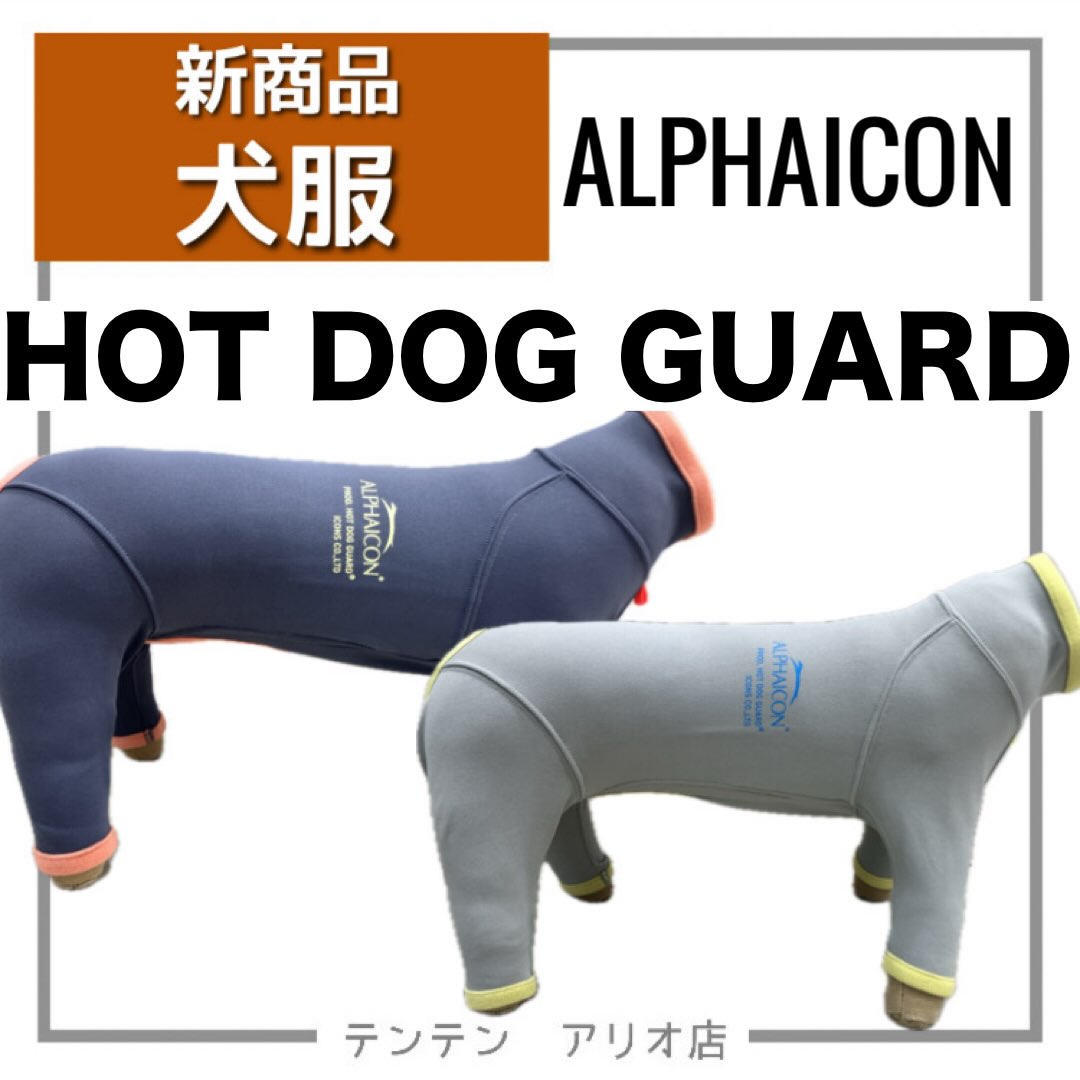 🐾 alphaicon.sapporo 🐾