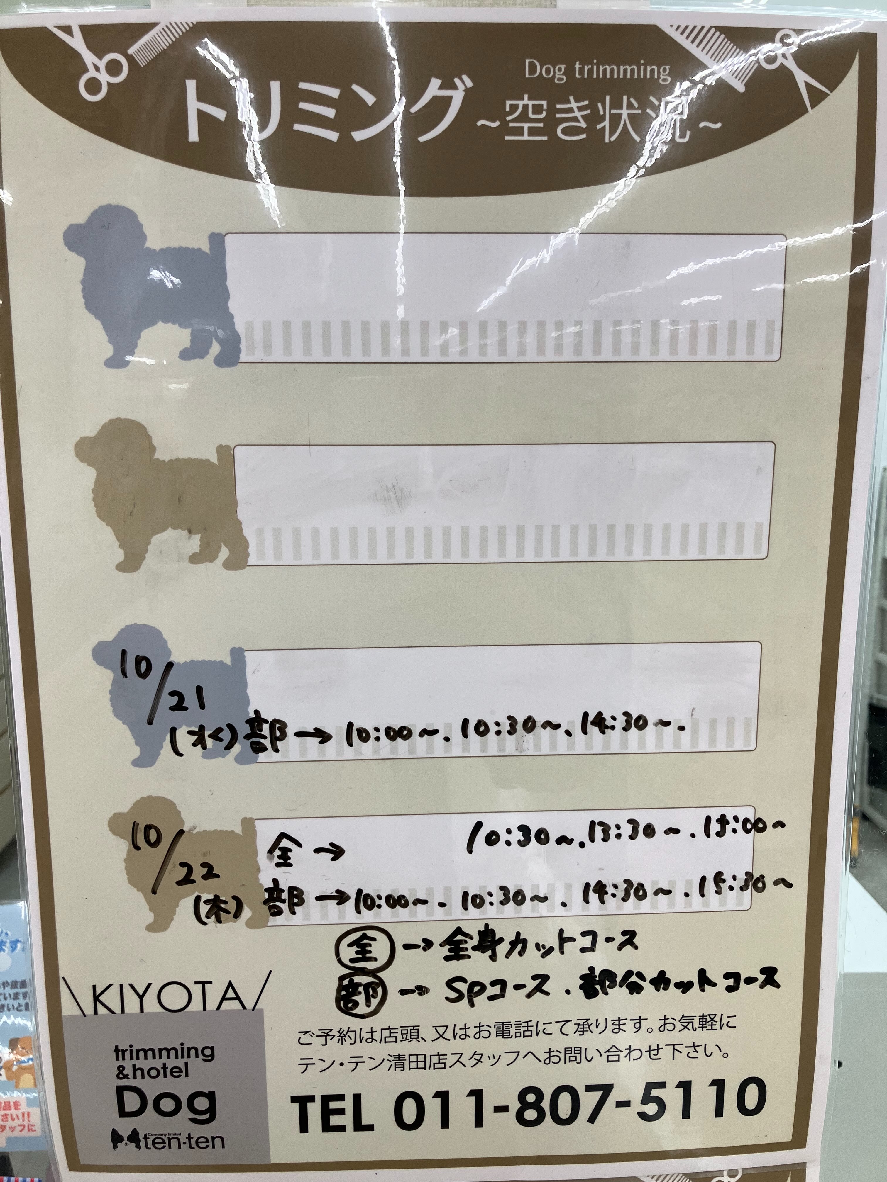 10月19日現在のトリミング空き状況です♪