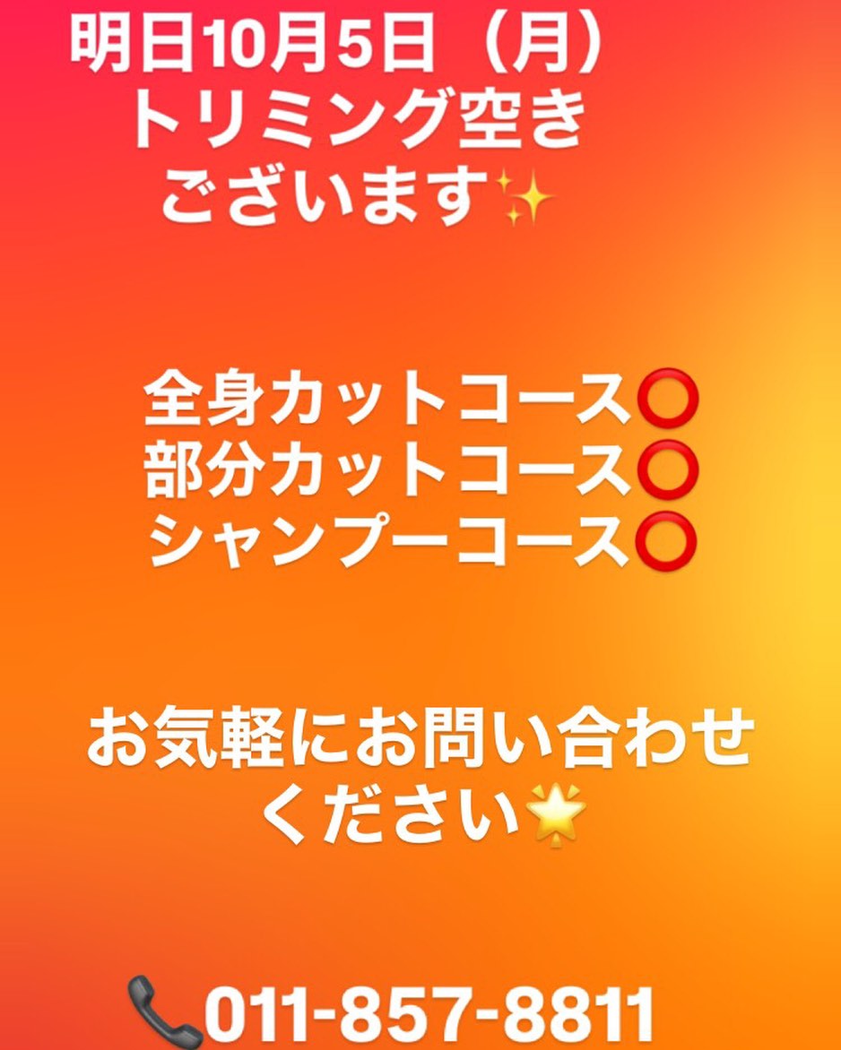 Instagram Update