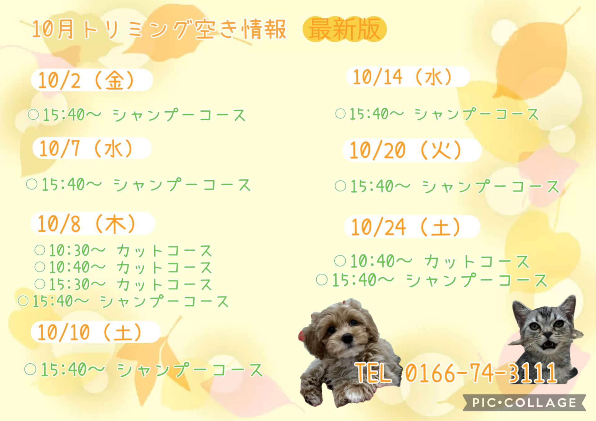 こんにちは🌞