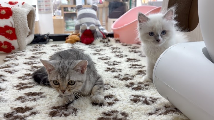 少しずつ距離を縮める2人でした…😌