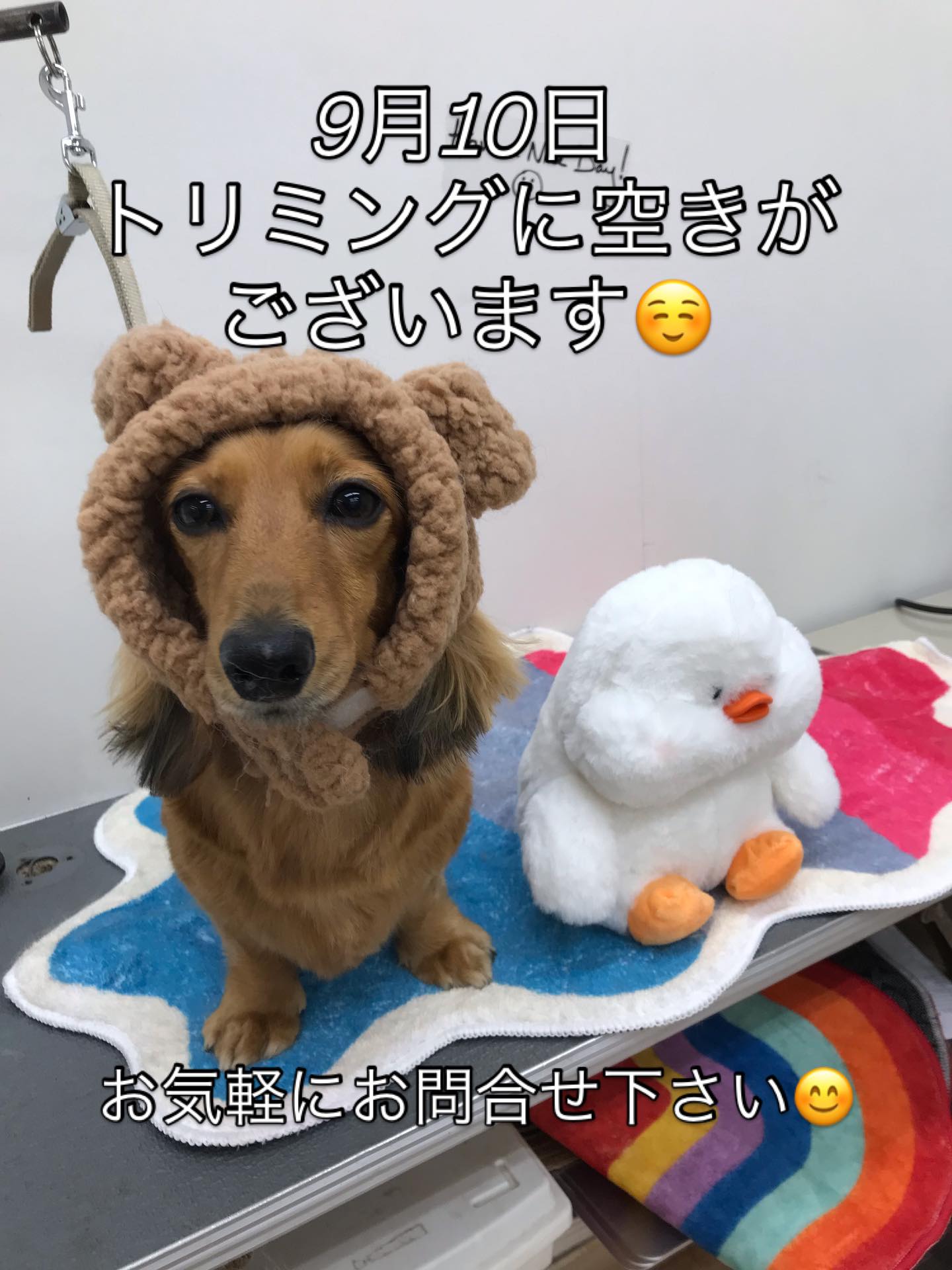 お気軽にお問合せ下さい😊