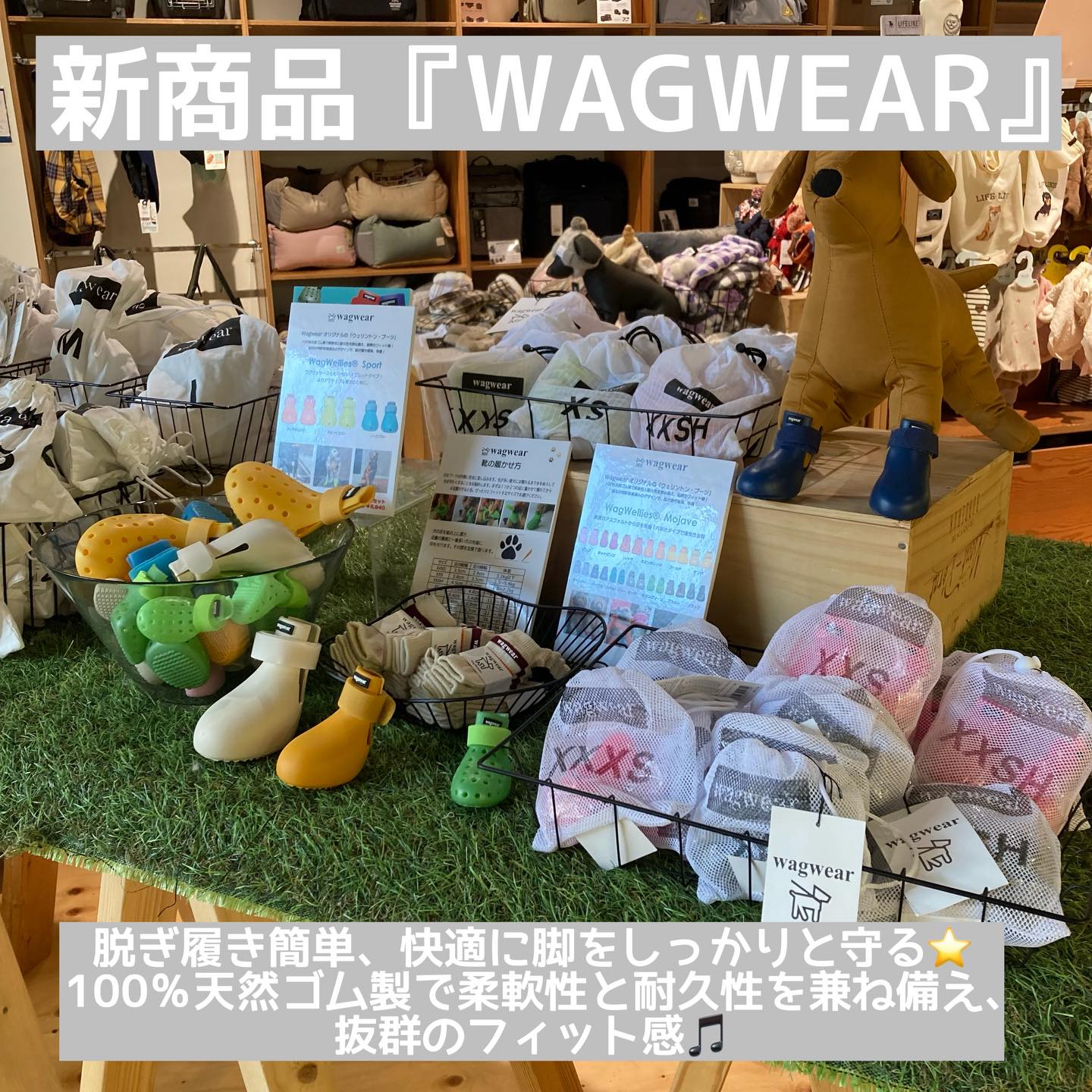 北海道初上陸❗️