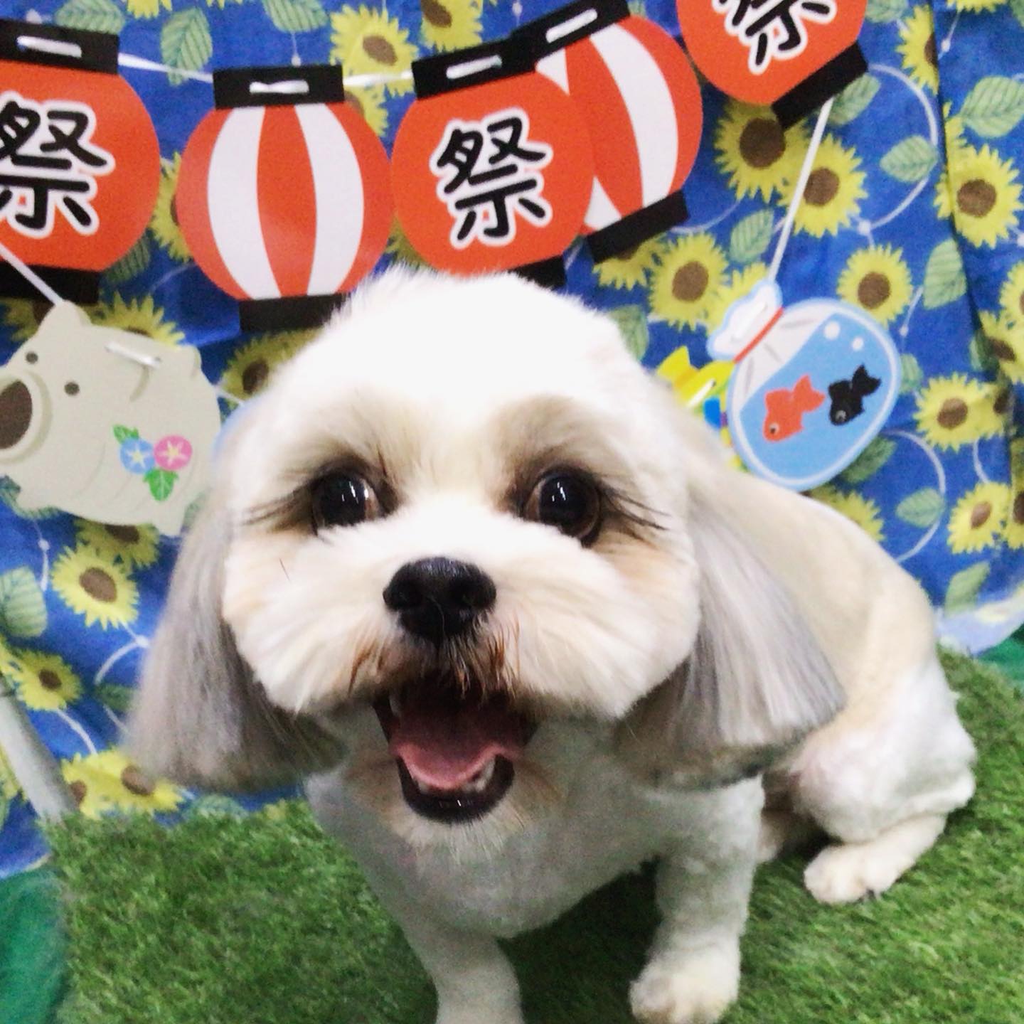 メルちゃん✨