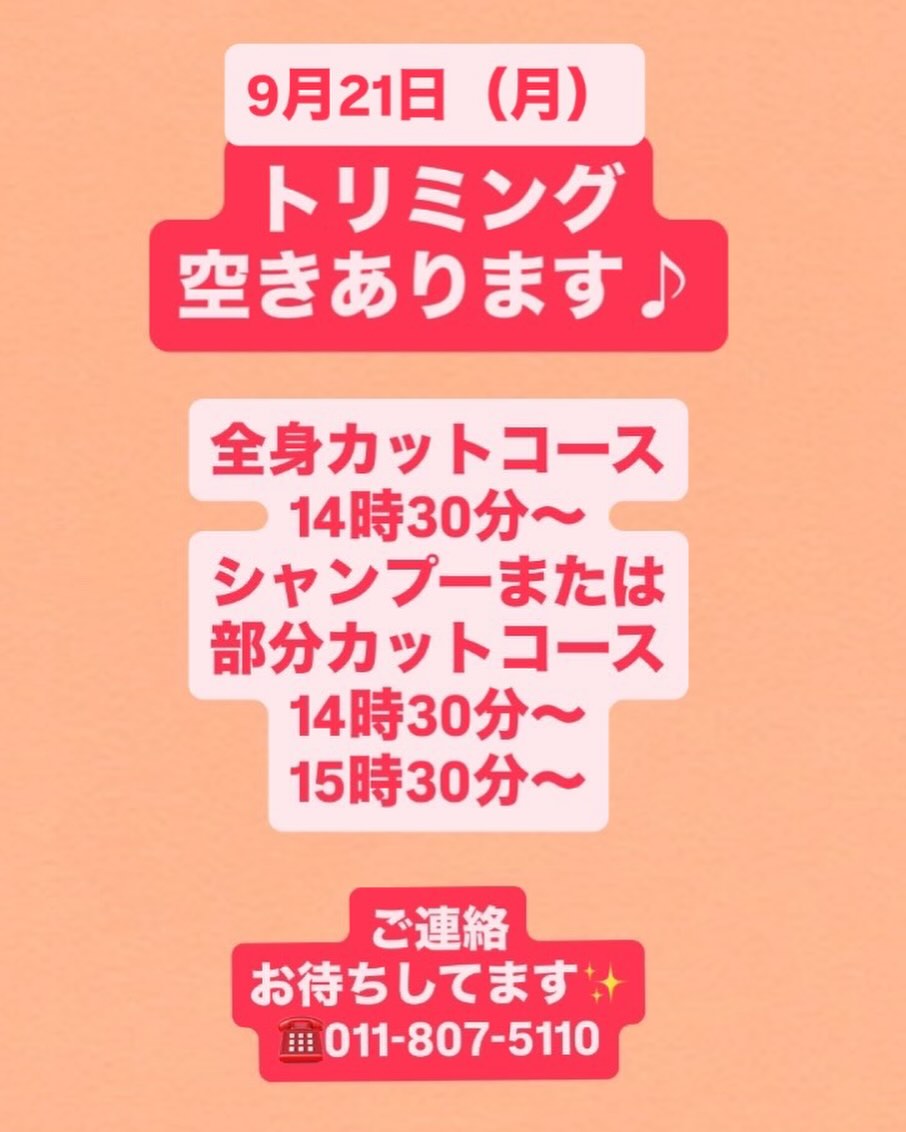 Instagram Update