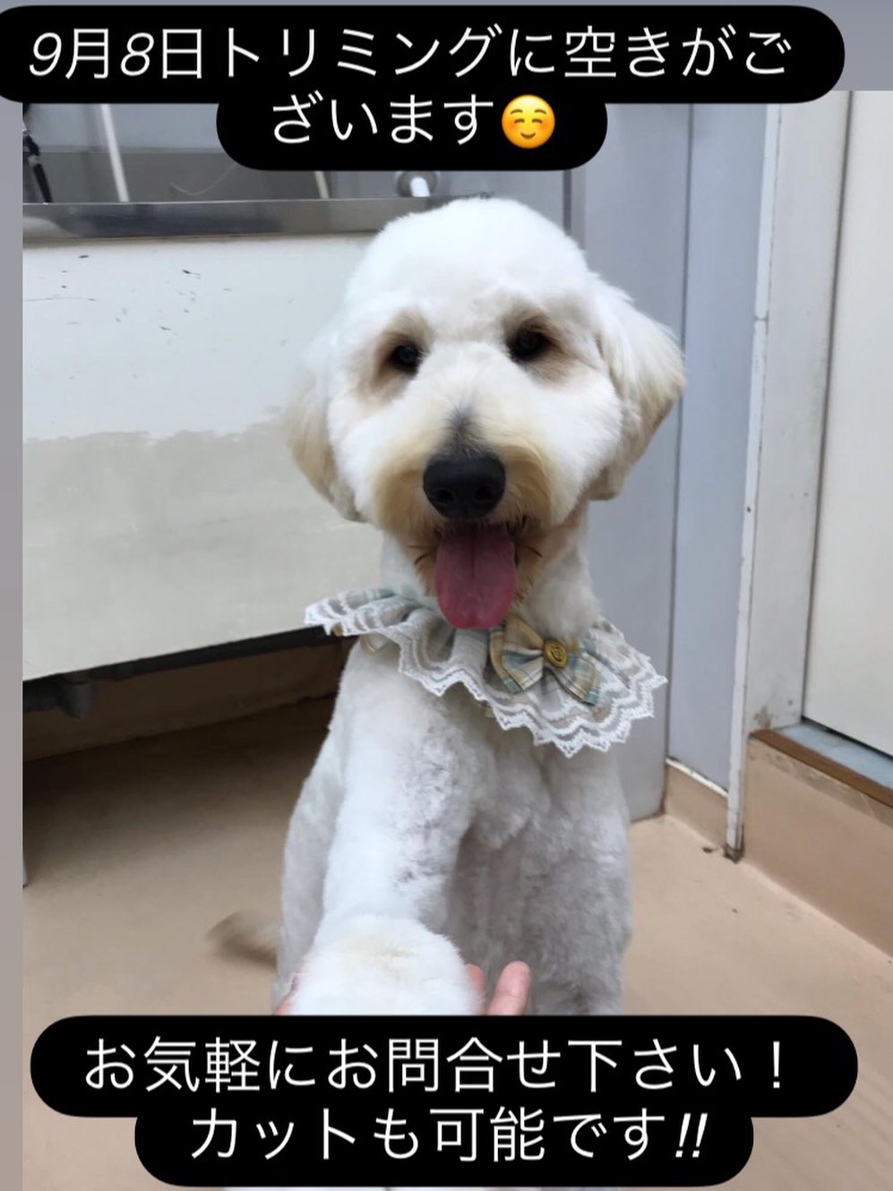 Instagram Update