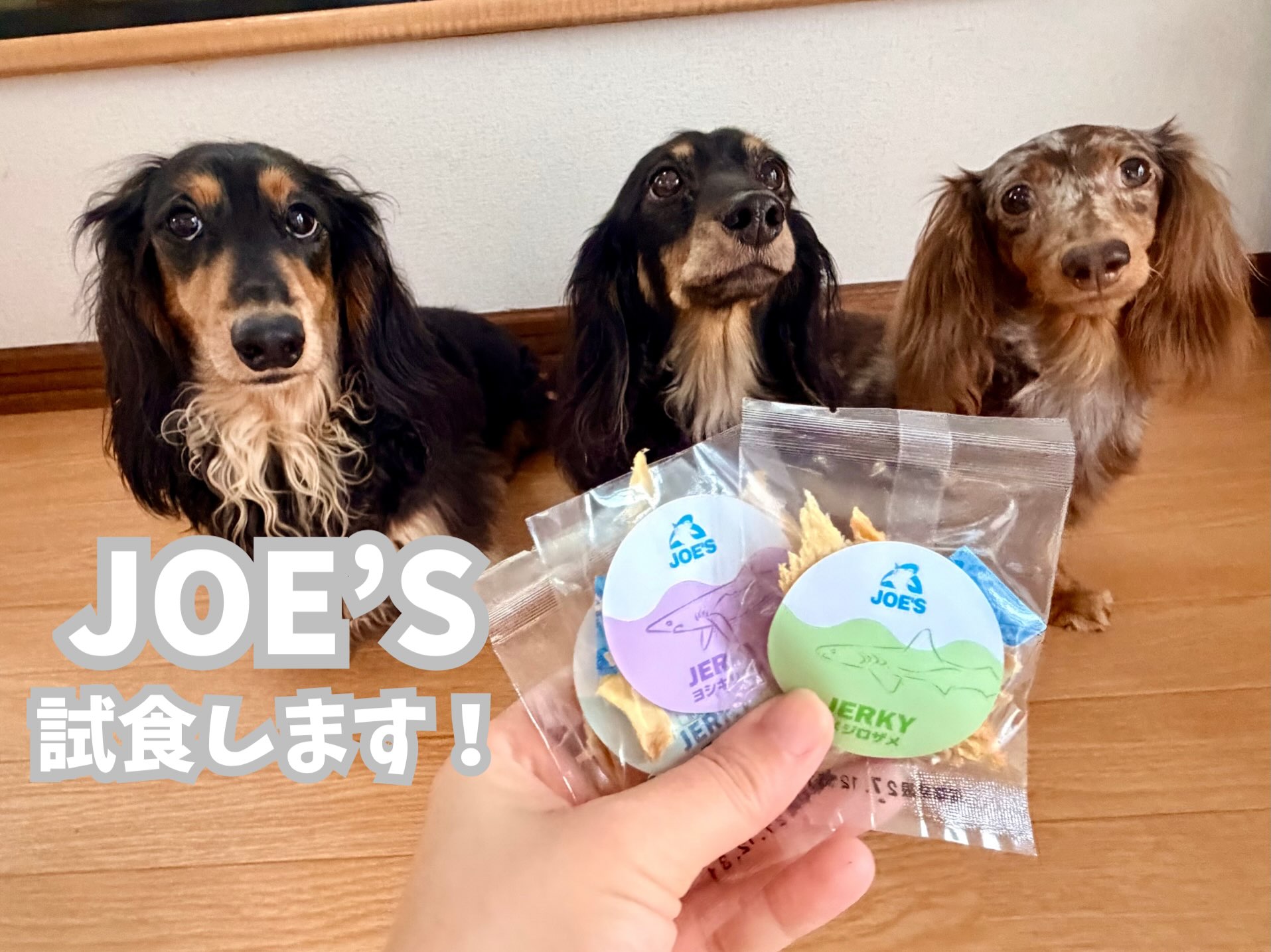 \新商品/