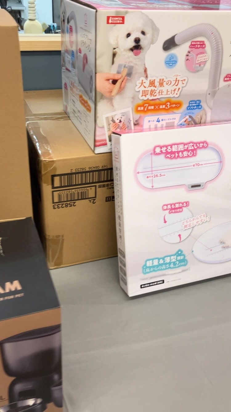 イベント始まっております🌟