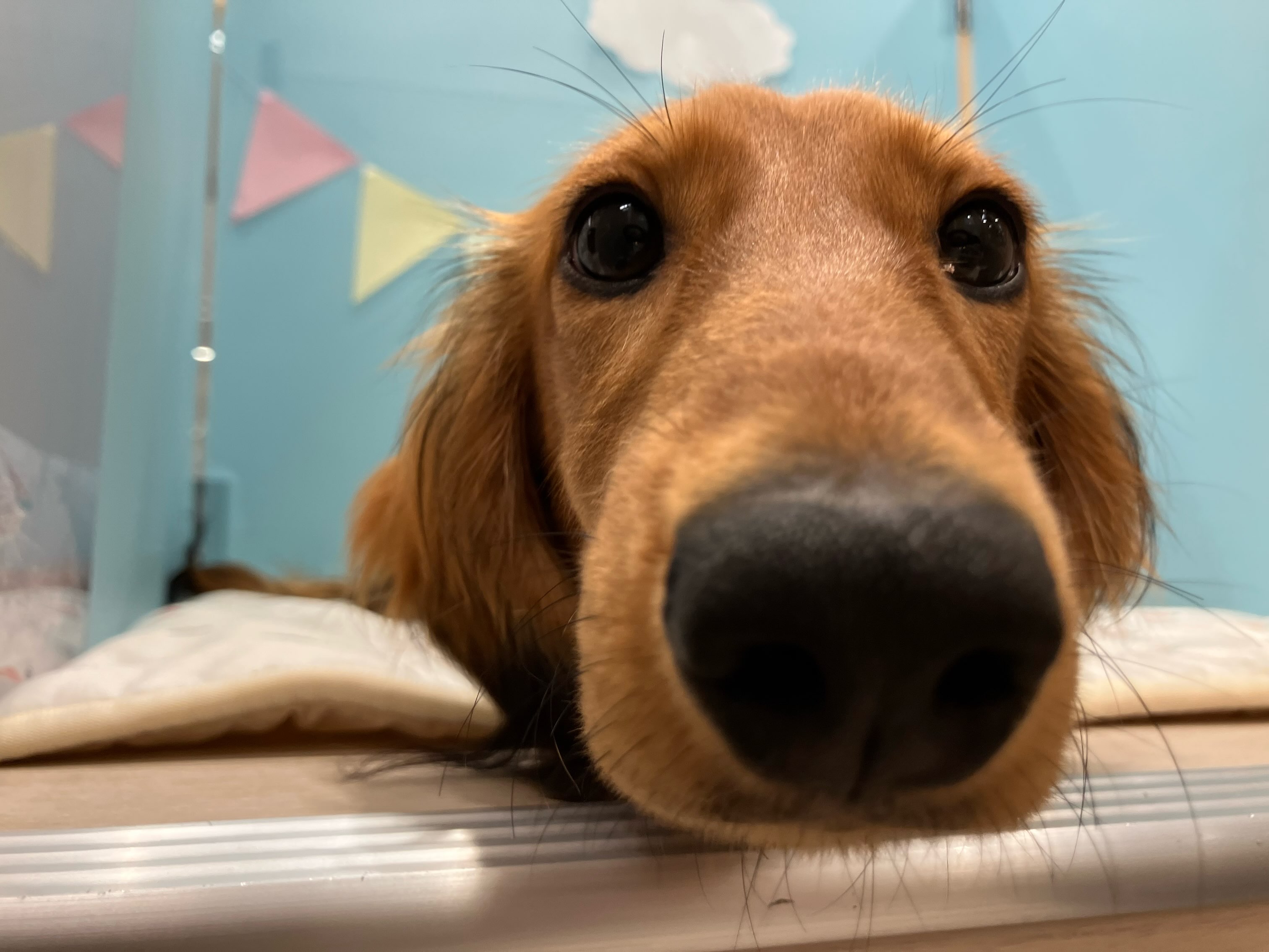 ダッちゃんのオフショットを公開中🫣
