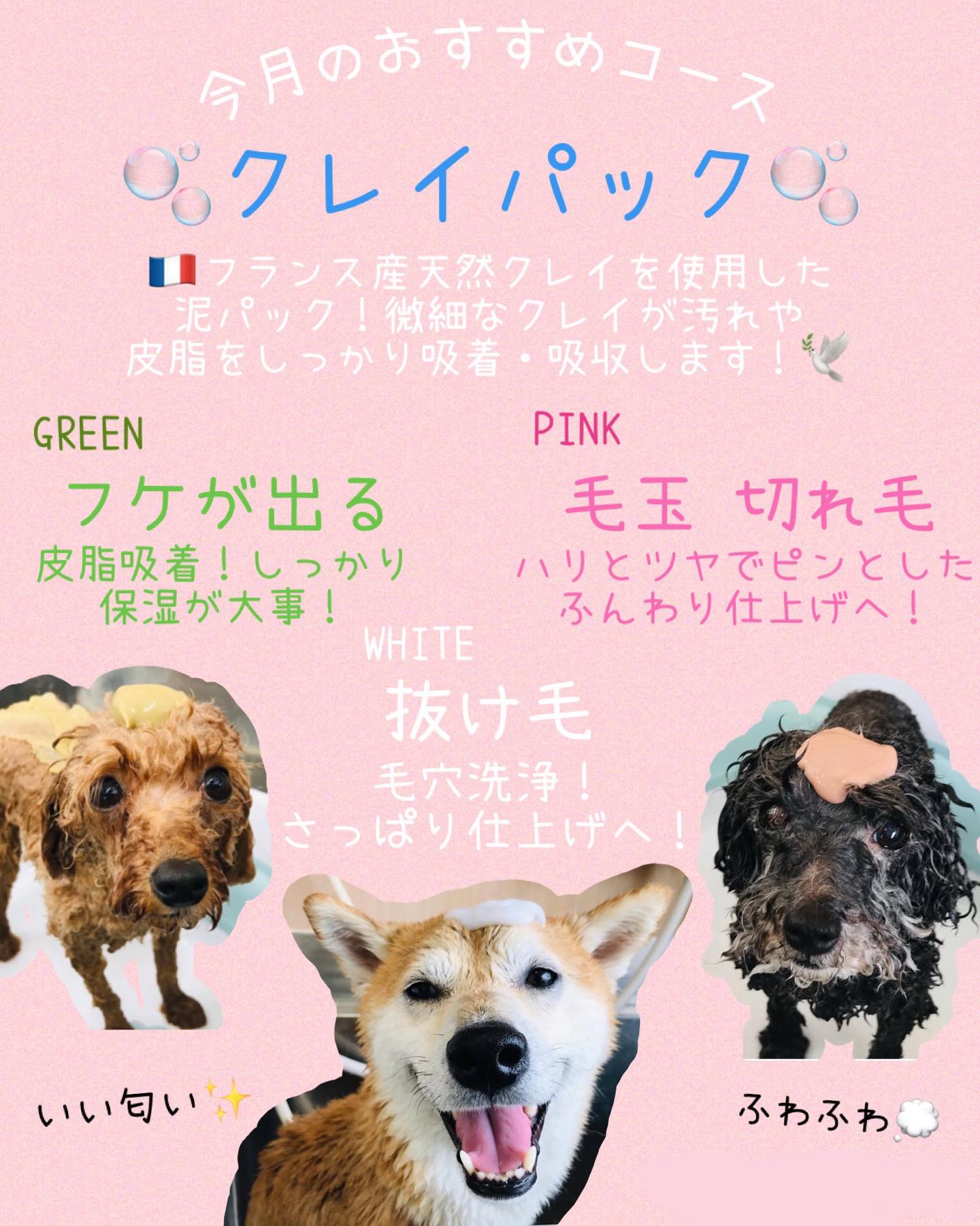 今月おすすめコース