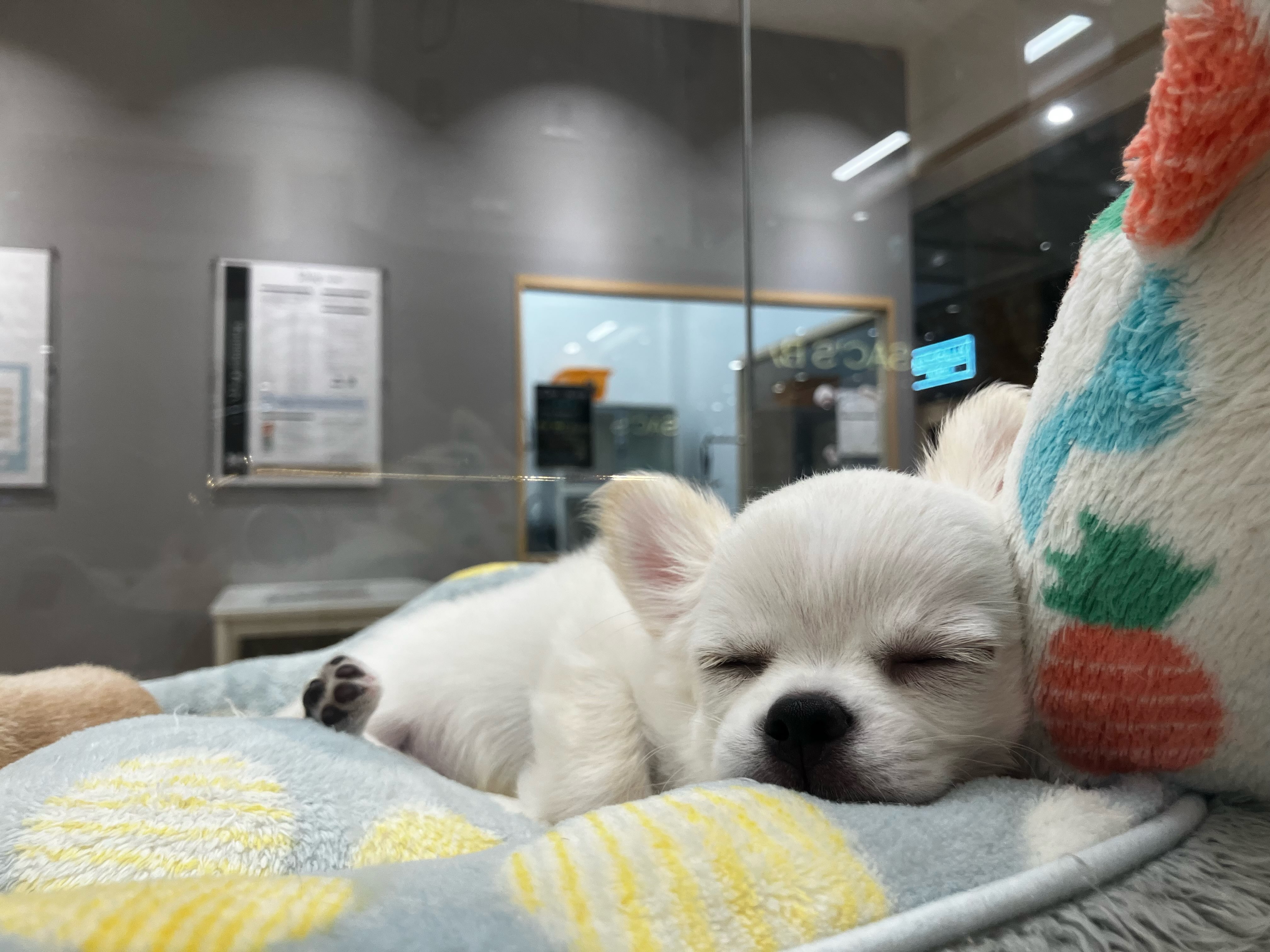 ねんねの時間🌙