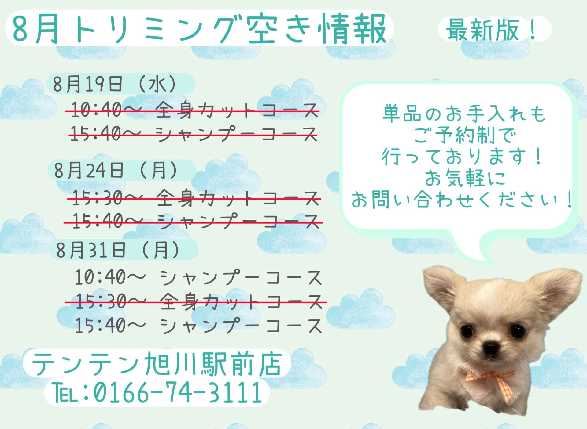こんにちは☀️