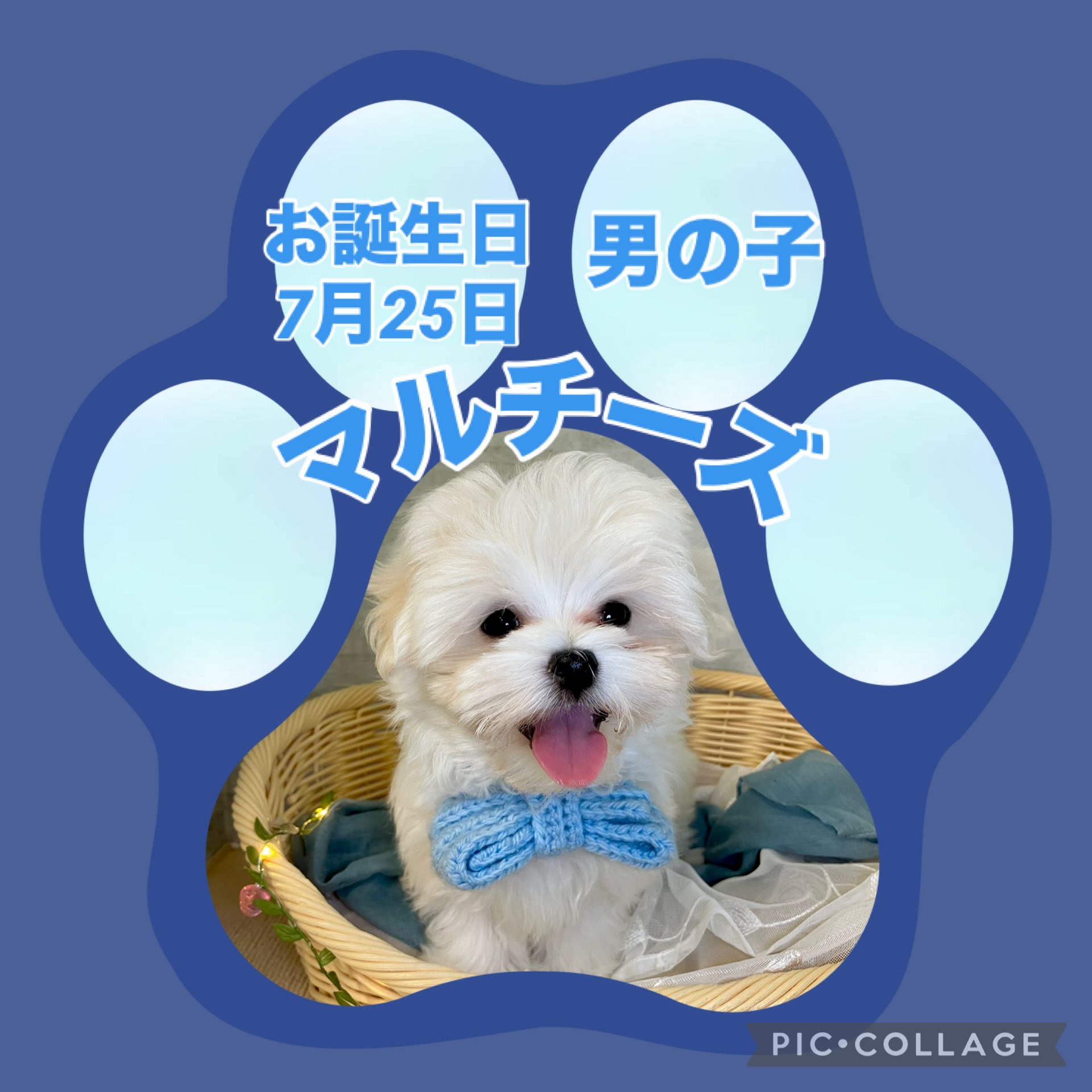 川沿店からお引越ししてきました