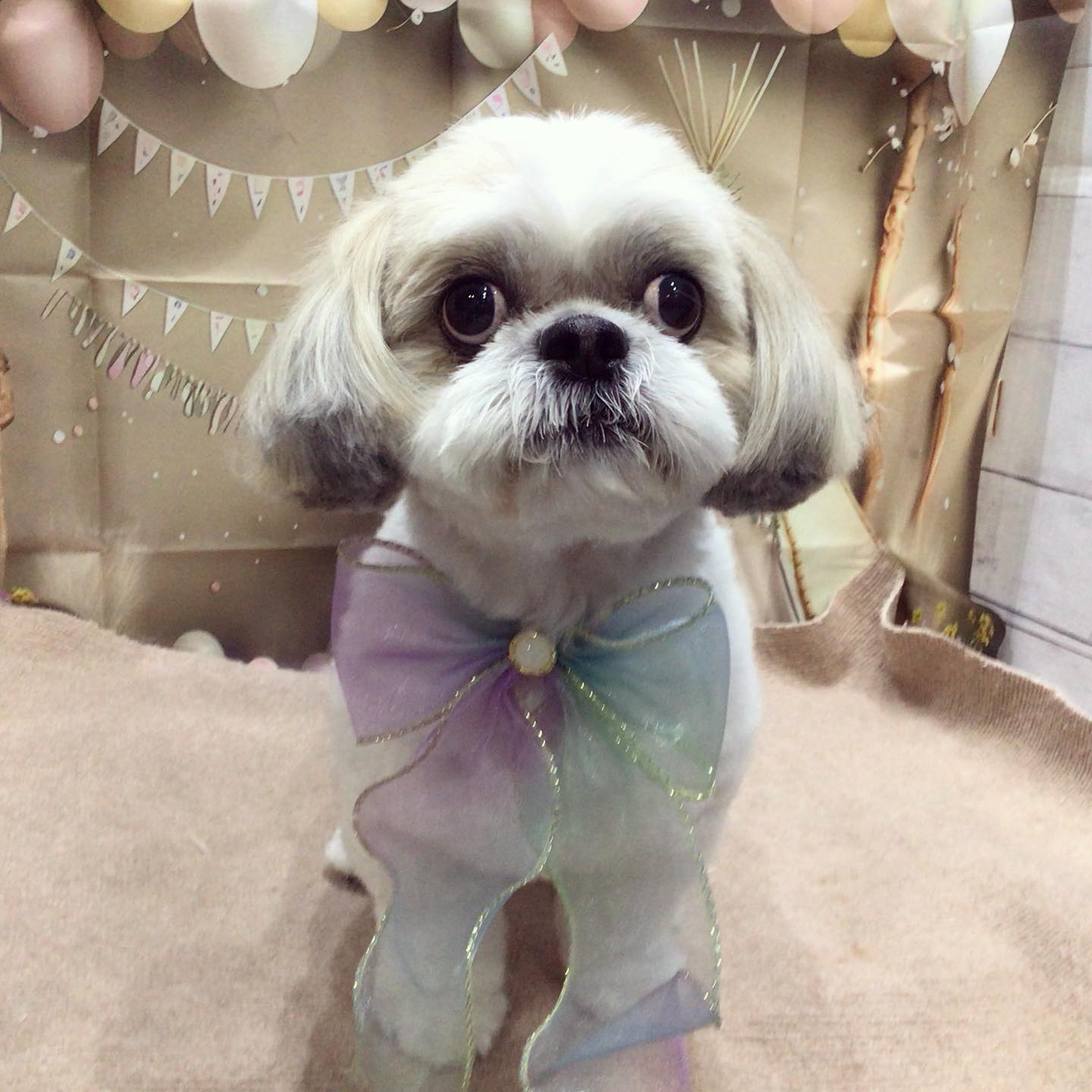 ふくちゃん💕
