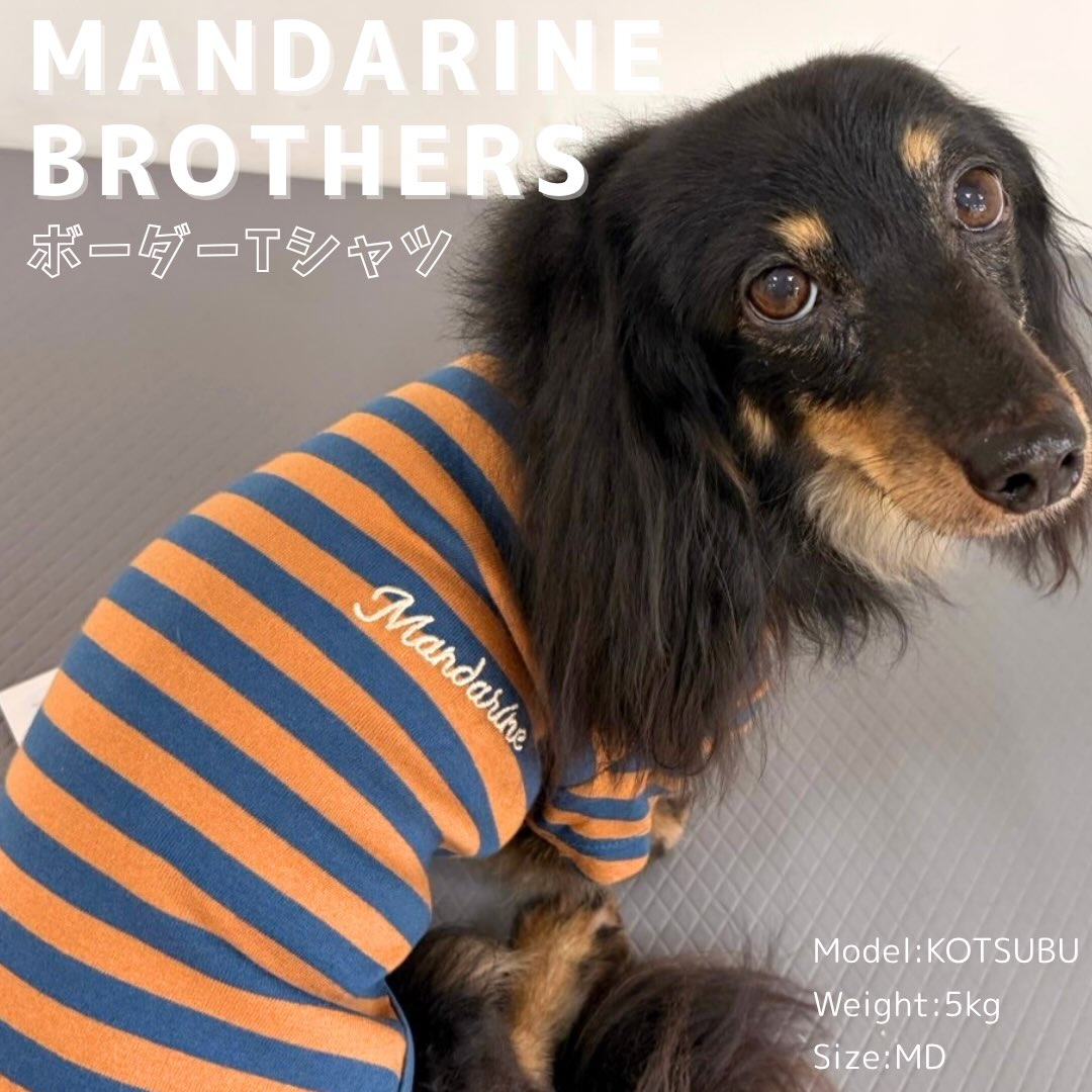 MANDARIN BROTHERS
