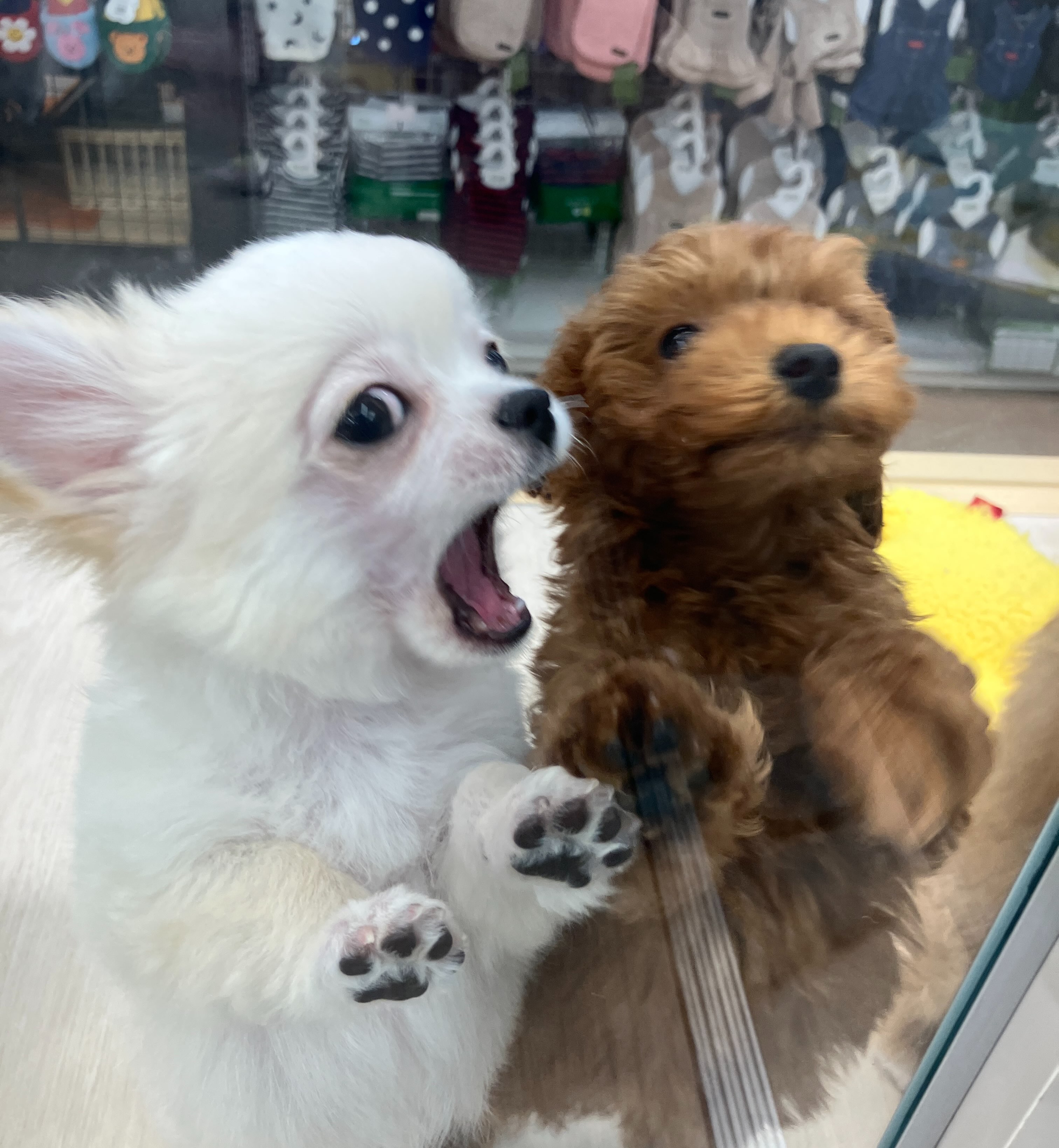 ワンバト中😂😂😂
