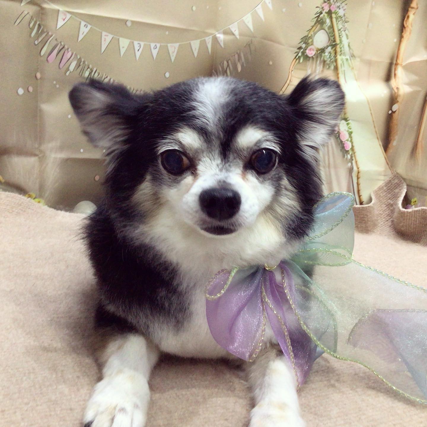はるちゃん💕