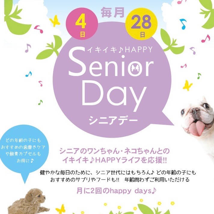 🍀 毎月4日•28日はシニアデー🍀