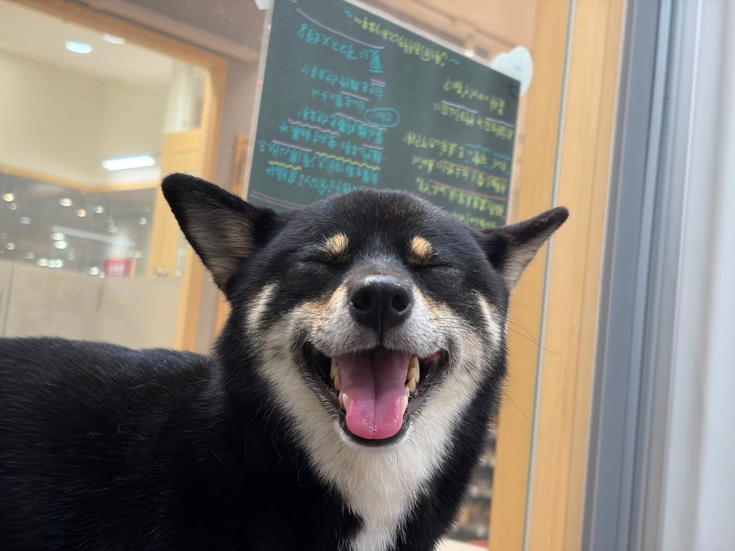 🫧ご利用のお客様🫧