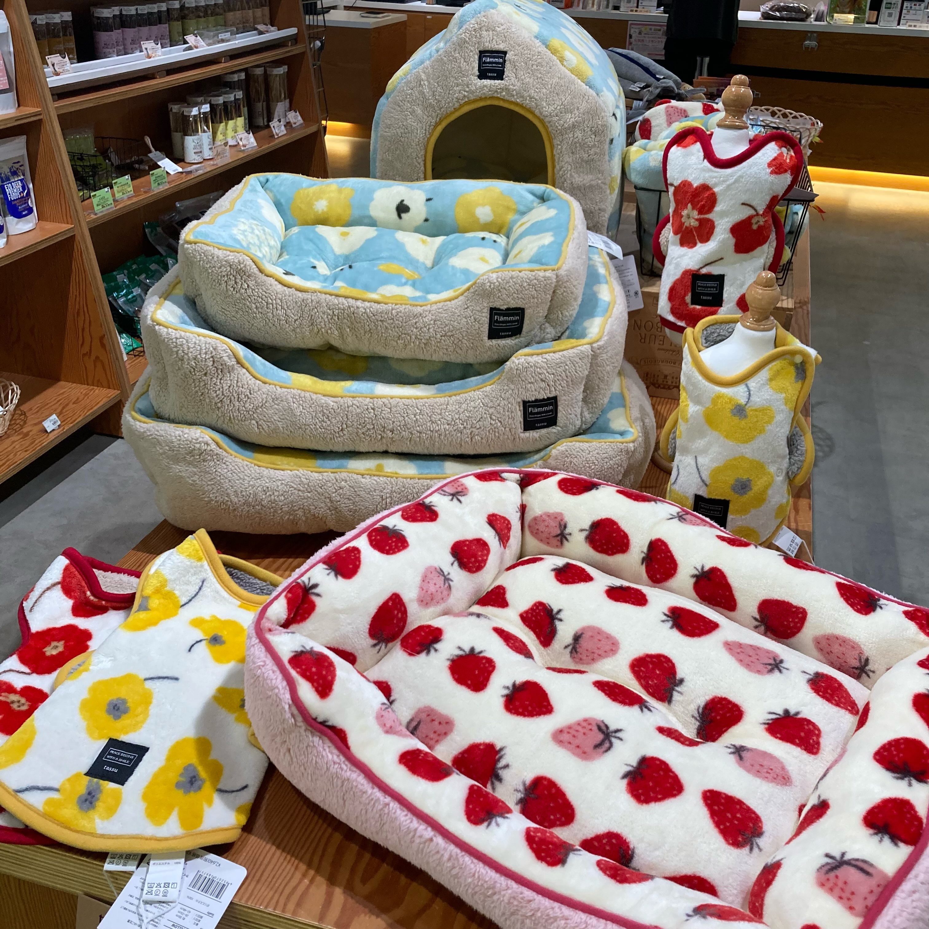 小泉ライフテックス秋冬ベッド