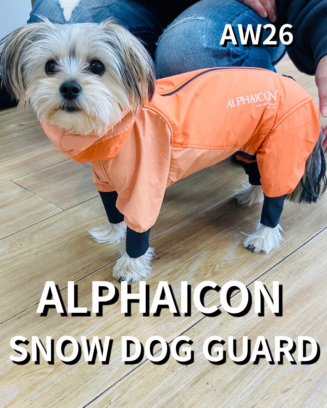 ALPHAICON