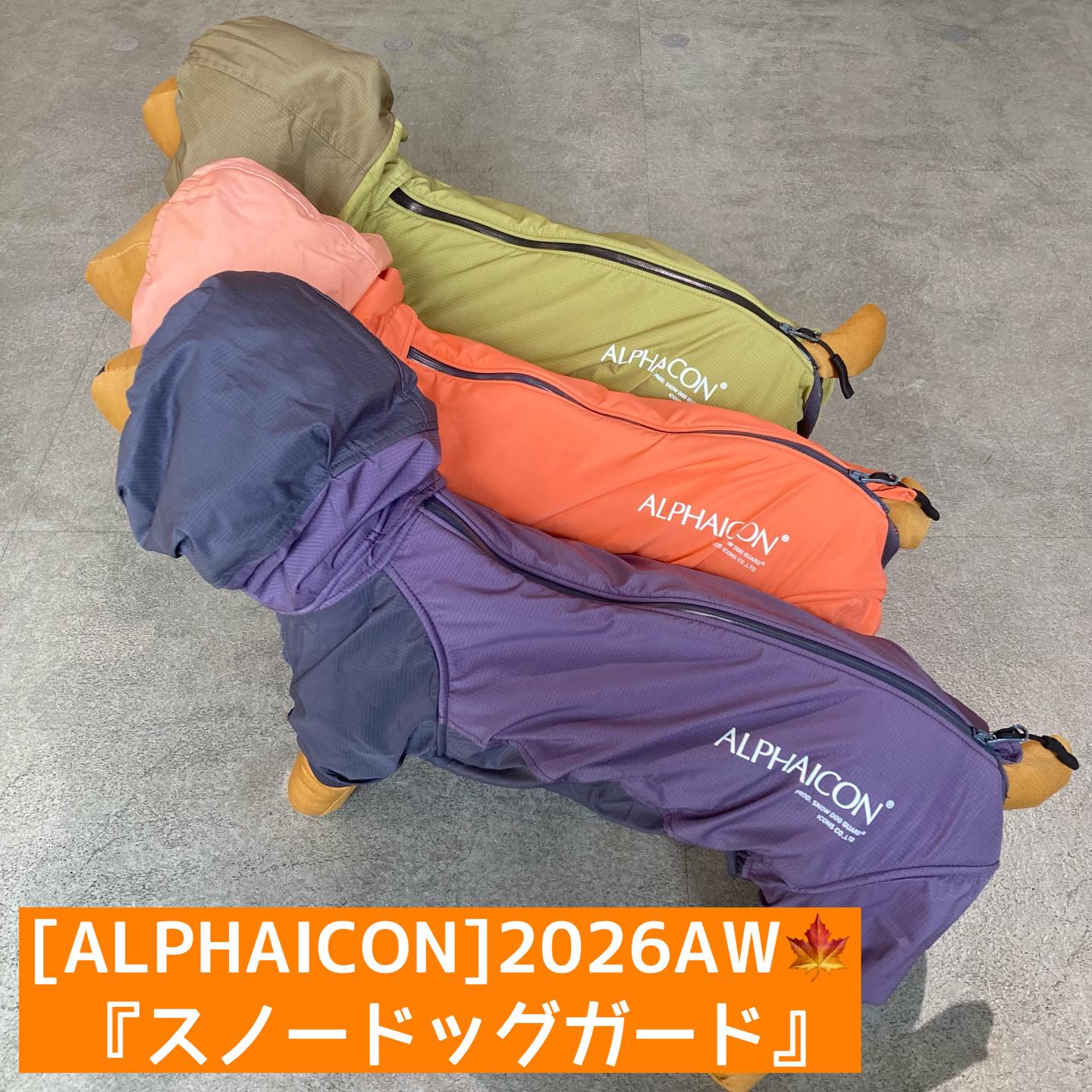 [#alphaicon ] 2026AW 🍁
