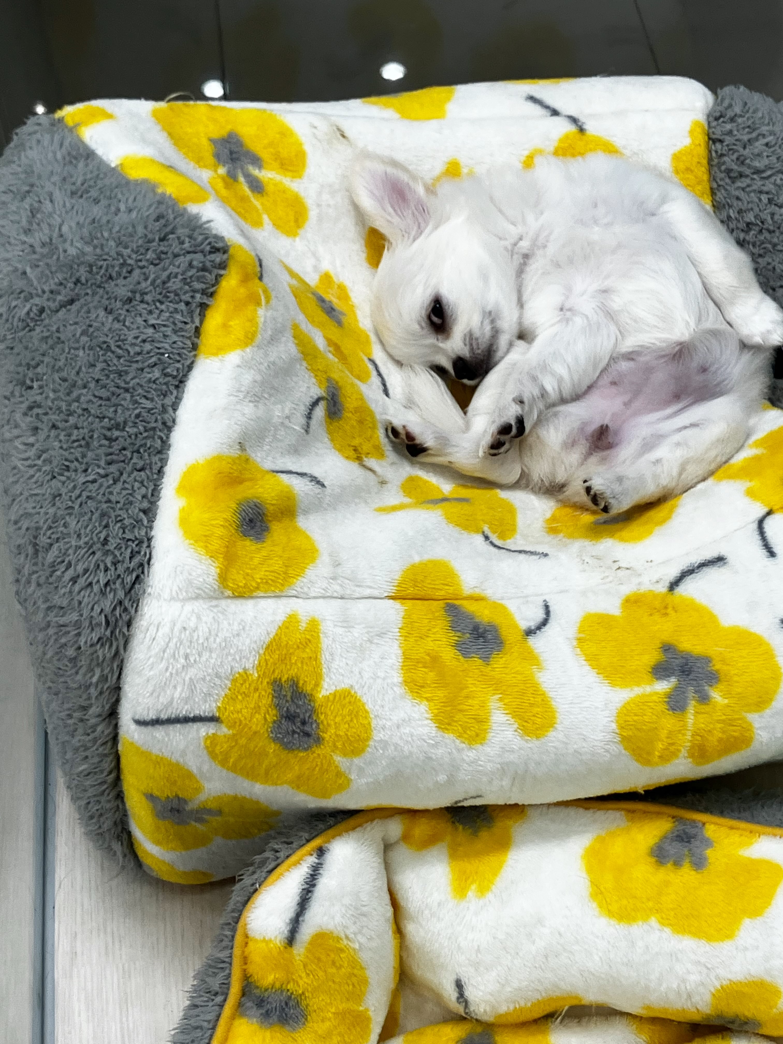 ねんねの仕方が独特なちぃちゃんです☺️✨
