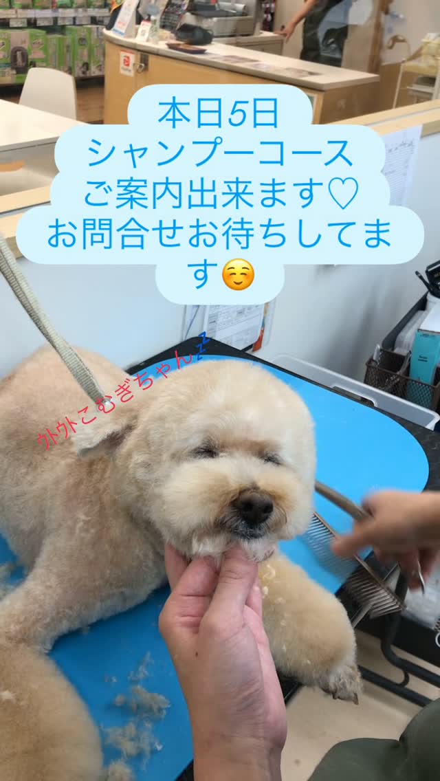 本日5日