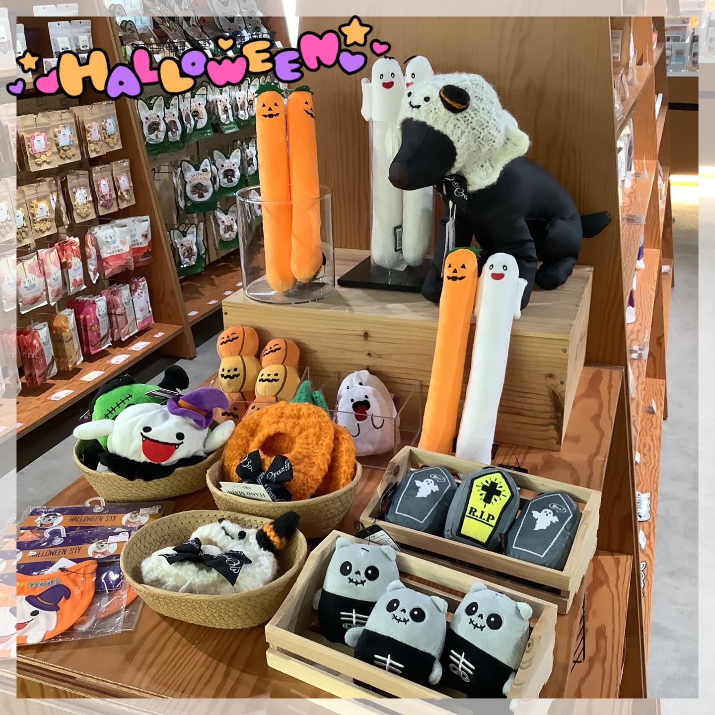 ✧⁺₊🕸🎃ྀི 𝙷𝚊𝚙𝚙𝚢 𝙷𝚊𝚕𝚕𝚘𝚠𝚎𝚎𝚗 👻ྀི🕸˖·⟡