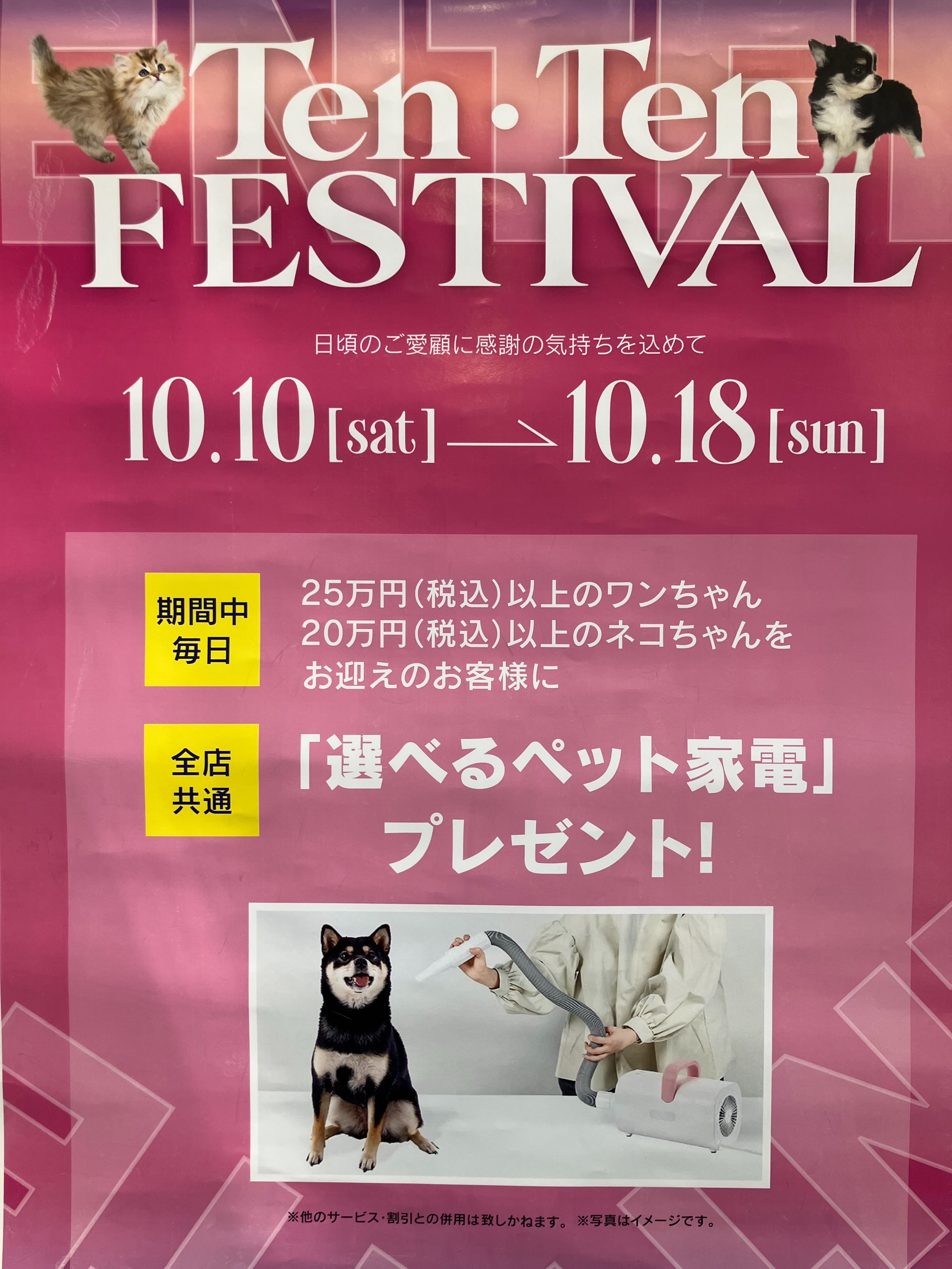 ⭐️イベントのお知らせ⭐️