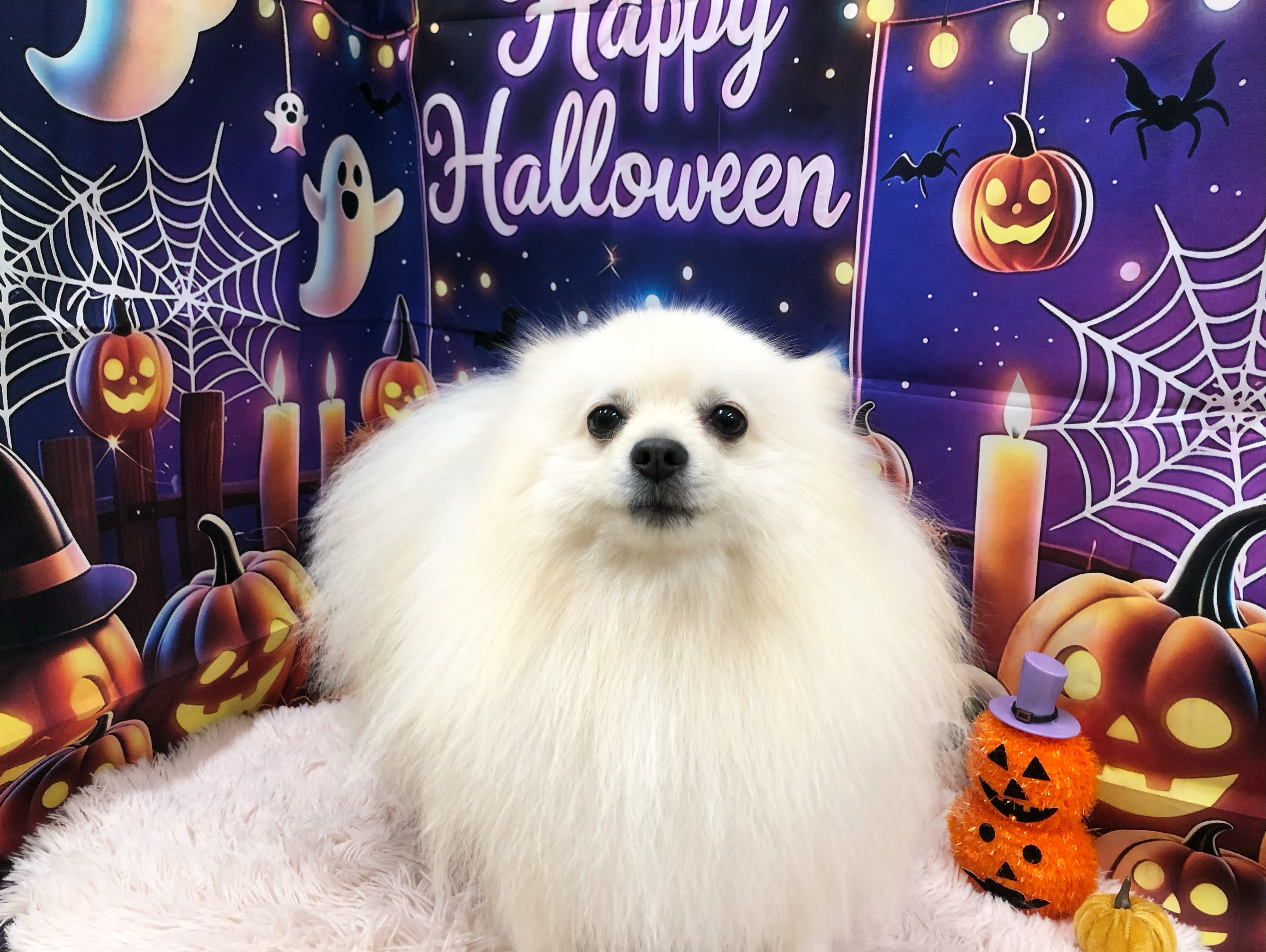 まるちゃん🎃