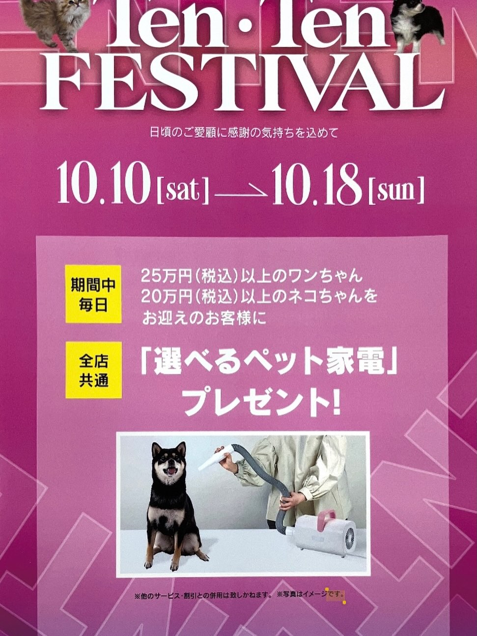 今年も開催🎉🎉