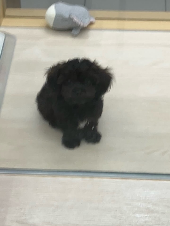 ずっと視線をかんじます👀笑