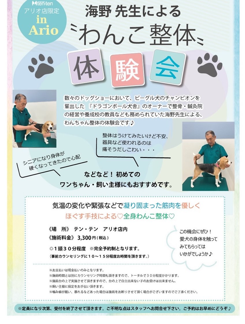 9／23（水・祝）は海野先生による『わんこ整体...
