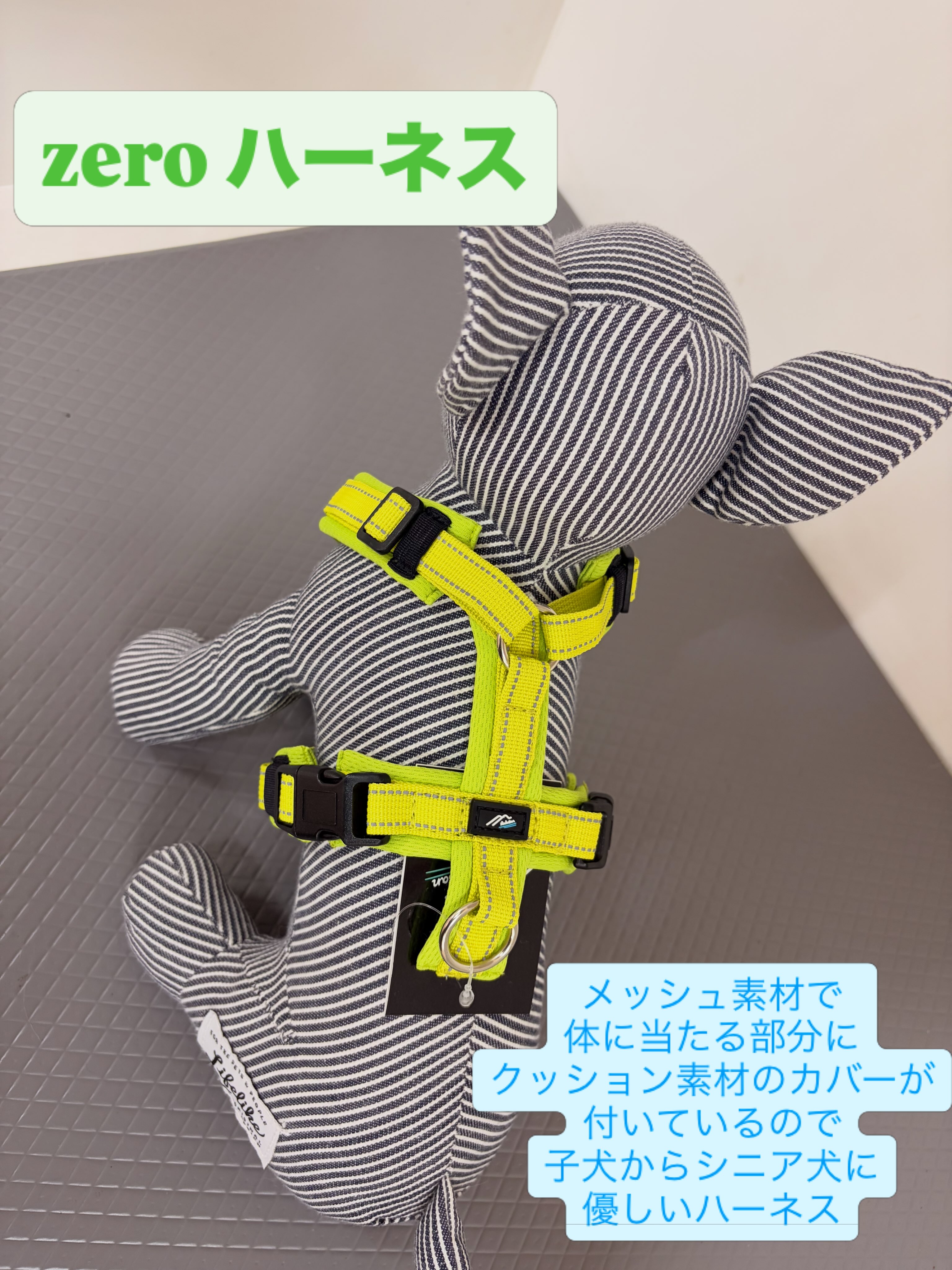 秋に向けて新しい犬具はいかがでしょうか？