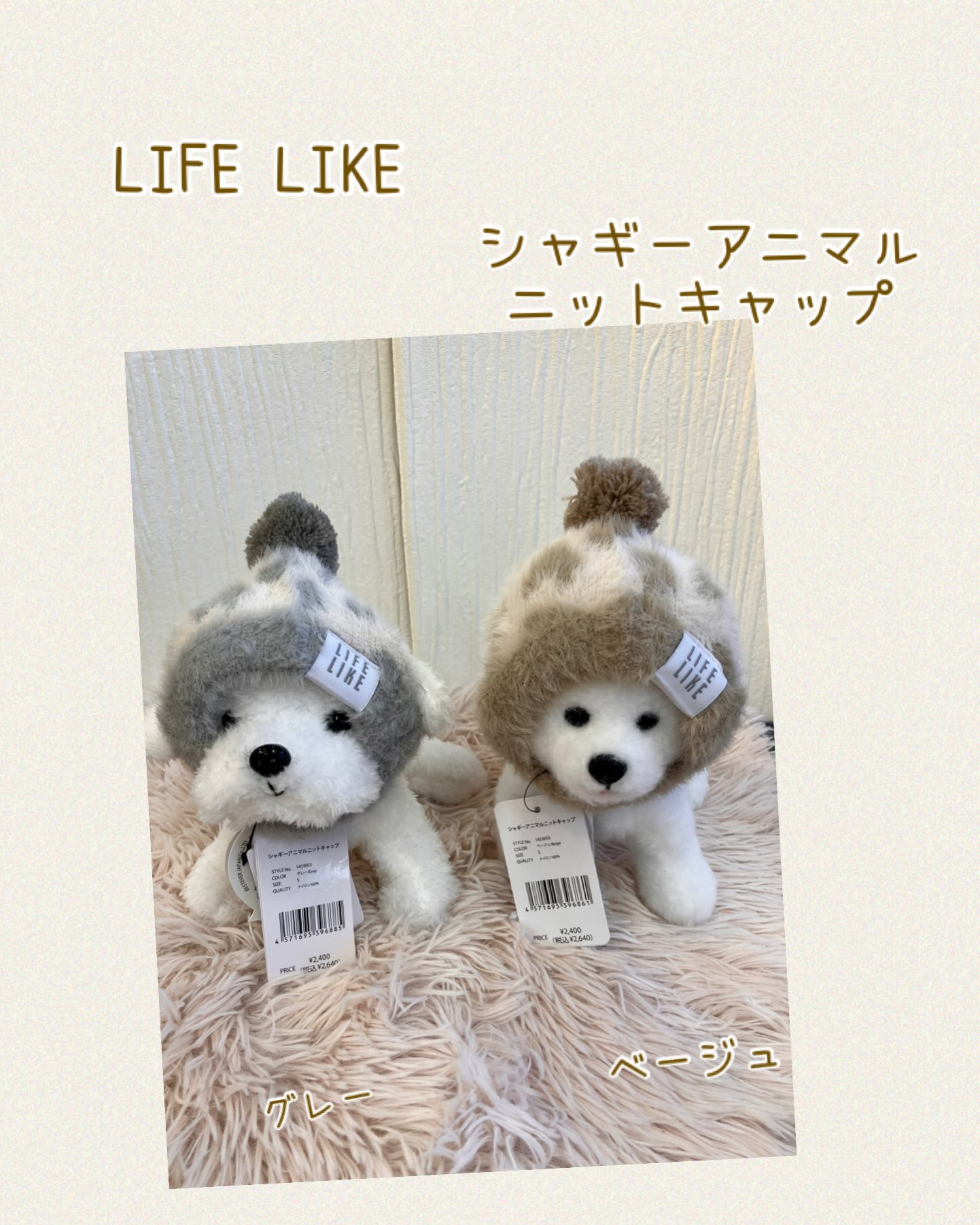 ✨新商品入荷✨